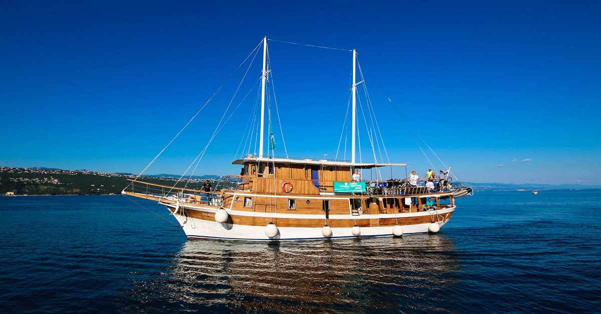 Upoznajte PREMIUM brod